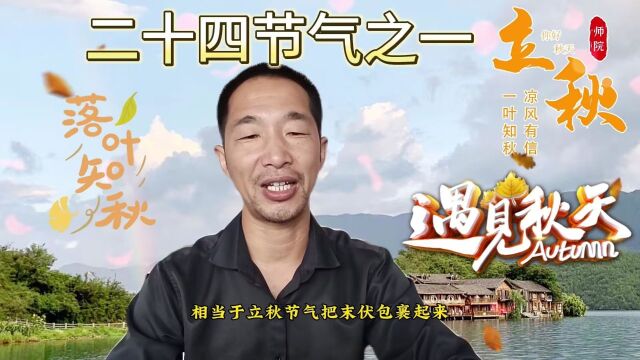 立秋,预示着夏季的结束,秋季的开始,天气转凉的象征