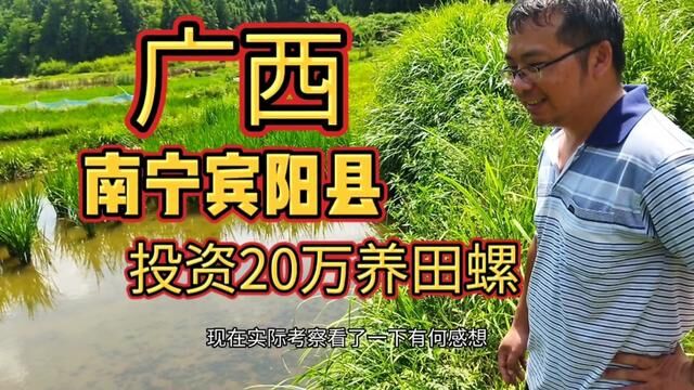 广西南宁宾阳县,农村大哥投资20万养田螺,是个能干大事的人 #田螺养殖