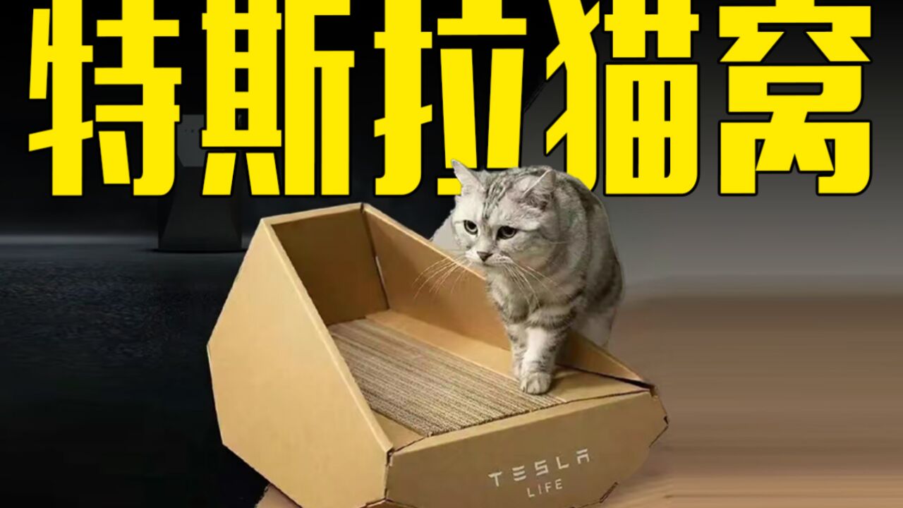 特斯拉卖89元猫窝!网友:明明可以抢,却非要给你个纸盒子