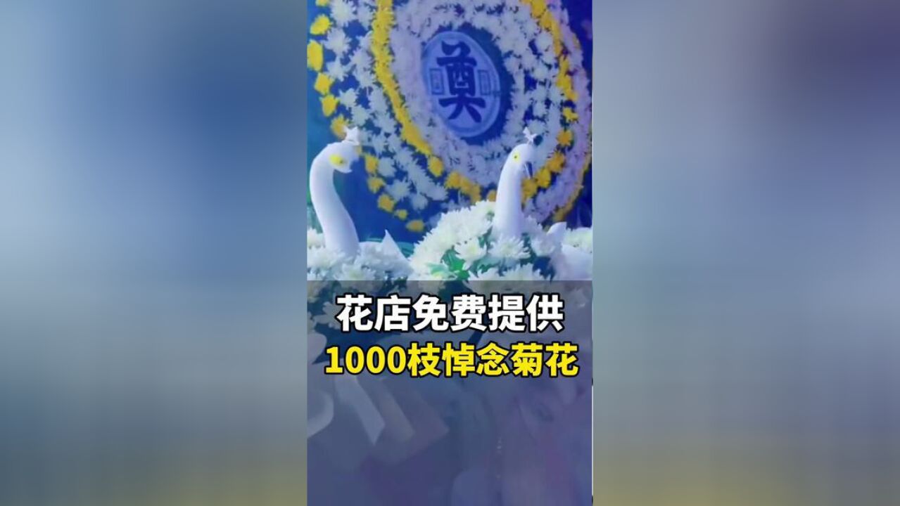 8月5日,山东济宁汶上县一家花店免费提供1000枝悼念菊花,还专门设计鹤的造型:希望冯振一路走好!