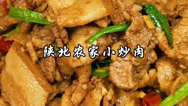 陕北农家小炒肉的家常做法,酱香味浓,肉质细嫩,配上二米饭真香