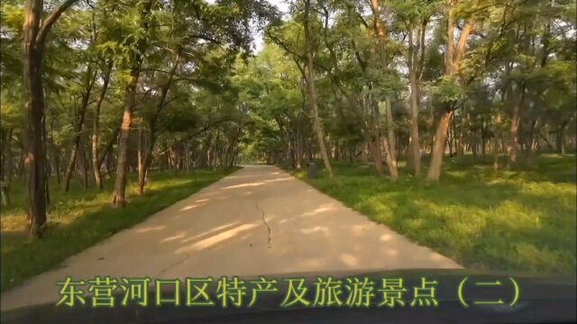 东营河口区特产及旅游景点