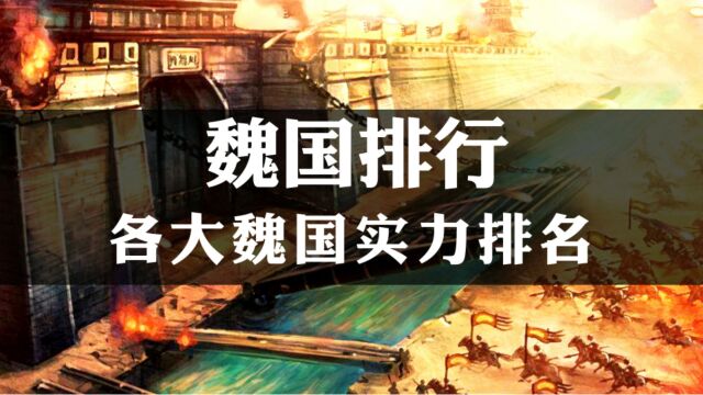 历史上的魏国,鲜卑拓跋部建立的北魏,综合国力居首当无异议