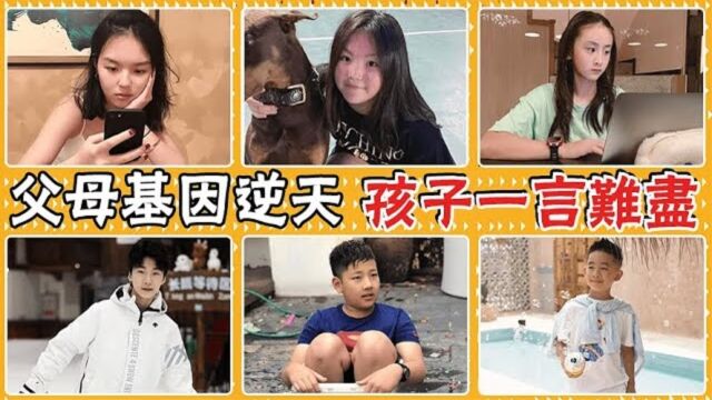 一年学费113万新台币,被钱砸出来的星二代们现状如何