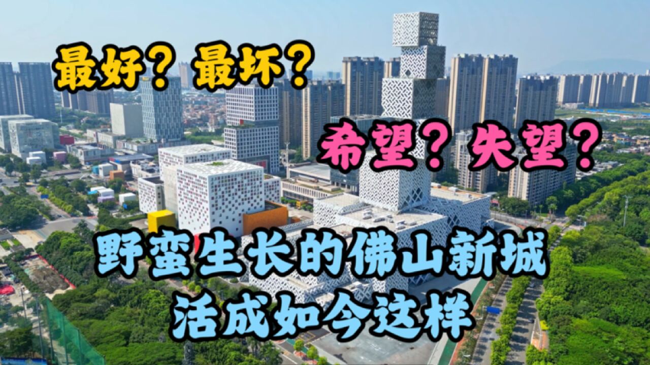 佛山新城:20年野蛮生长,揭示争议背后的现实