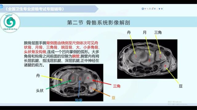 【放射医学(中级)】第七章影像解剖:骨关节系统