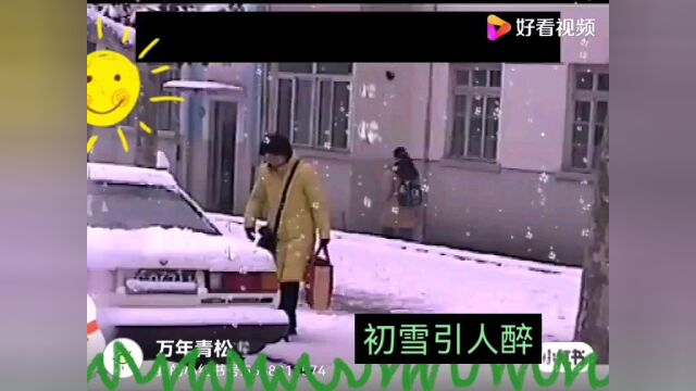 管道地处徐州市,地理位置近于南方,难见初雪美境.今发布网络供大家欣尝.