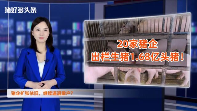 1.68亿头猪!20大猪企产能狂飙,未来继续逼退散户?