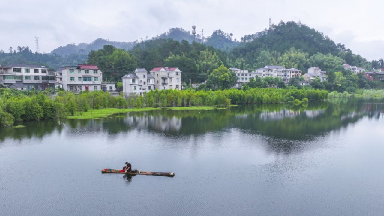 去淳安生态湿地 感受“诗情画意”