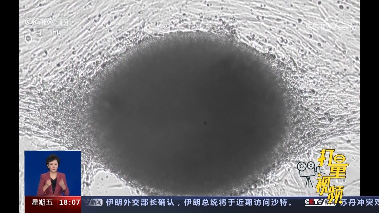 多项航天医学细胞学实验项目在轨实施