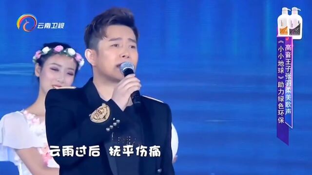 张羽演唱《小小地球》,深情演唱,好听极了丨中国情歌汇