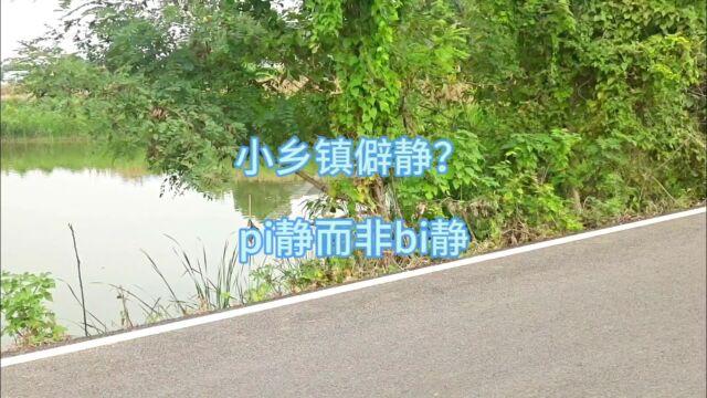 小乡镇僻静?pi静而非bi静