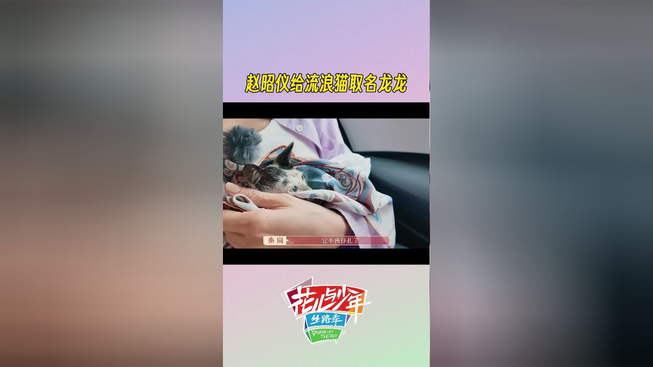 赵昭仪给流浪猫取了一个霸气中国名字“龙龙”,希望它以后不再受到欺负,能够平安健康.这个名字真的很好听!