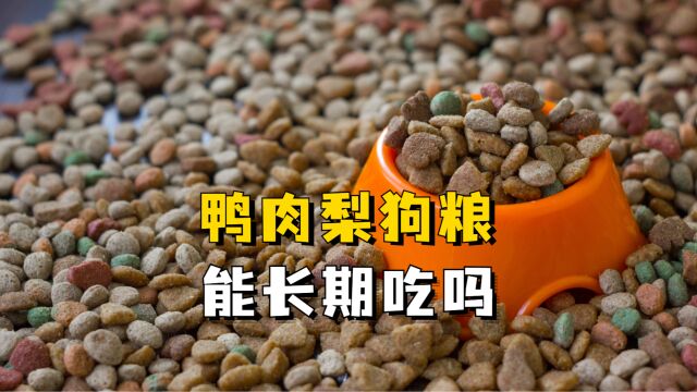 鸭肉梨狗粮适合给狗狗长期吃吗?要注意哪些问题?