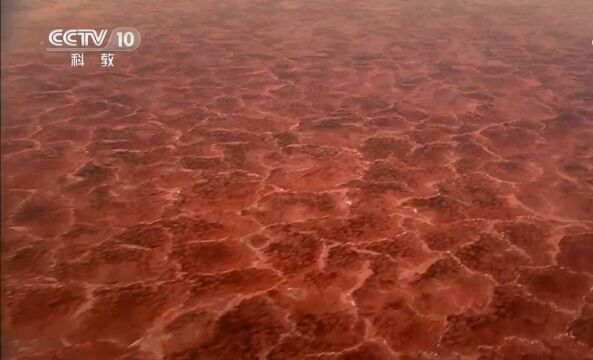 纳特龙湖又咸又臭,它的成分来自被雨水冲进平原的火山灰