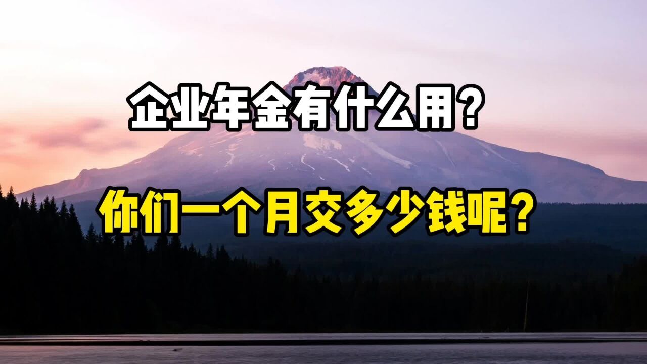 企业年金有什么作用?你们一个月交多少钱?