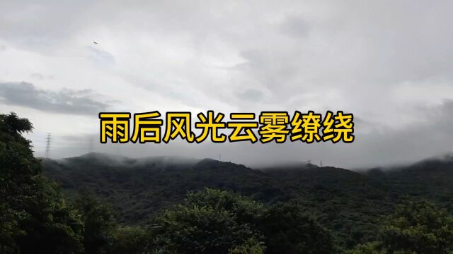 在半山腰拍摄深圳盐田云雾缭绕