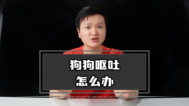 狗狗呕吐怎么办?新手铲屎官必看!