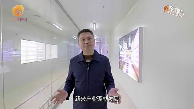 “五好”乡镇 | 湖头镇:打好特色优势牌 激活乡村振兴新引擎