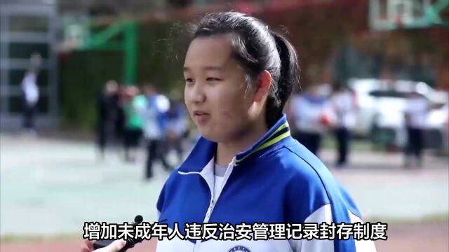 中国拟修改治安管理处罚法 严惩群众反映强烈的各类违法犯罪活动