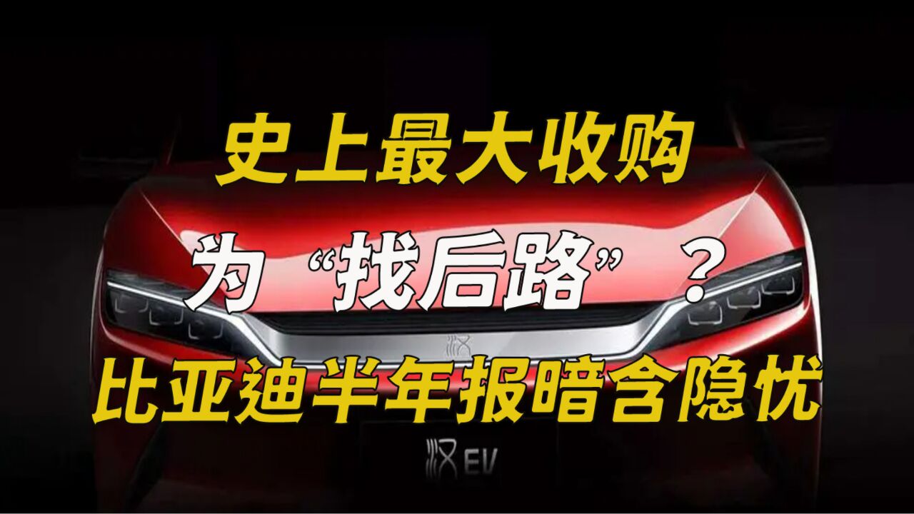 比亚迪花了158亿收购这个品牌 只为解决上半年营收2600亿背后的忧患