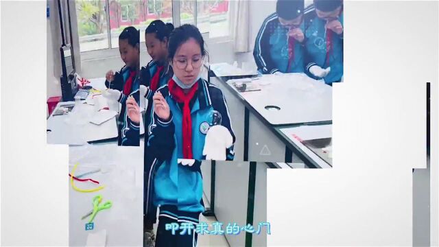 上海市上南中学南校:学习二十大,校园展风采