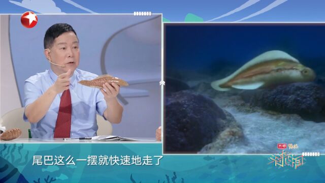 未来中国:科学家意想不到的生物命名方式,“天下第一鱼”是这样命名的