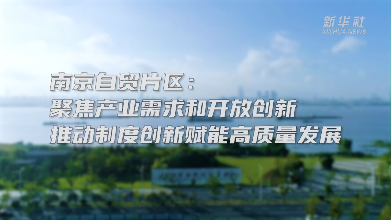 南京自贸片区:聚焦产业需求和开放创新 推动制度创新赋能高质量发展