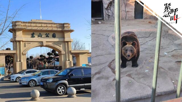 大连一动物园拖欠员工半年工资动物面临断粮 官方:正尽力协调资金