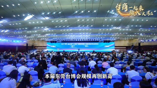 2023“台商一起来,融入大湾区”主题活动暨第十四届东莞台湾名品博览会开幕