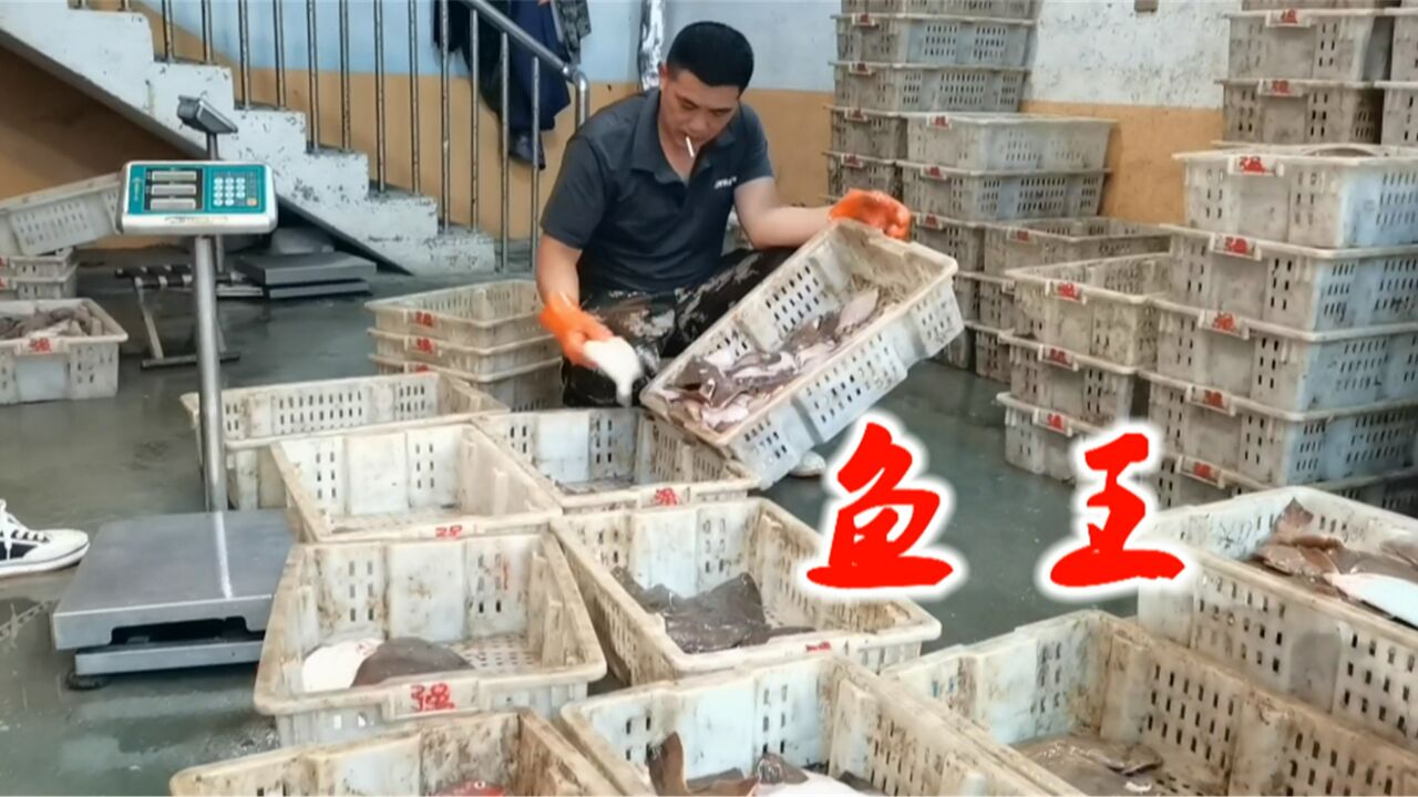 丹东的东港黄海市场,十几种海鱼成堆等待批发,这条鱼王有多少斤