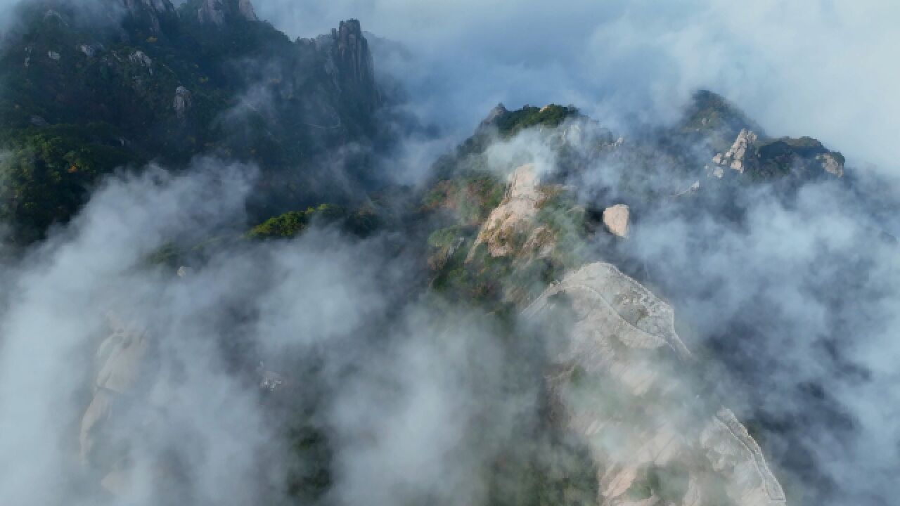 邂逅绝美云海!九华山初秋云雾笼罩如水墨丹青