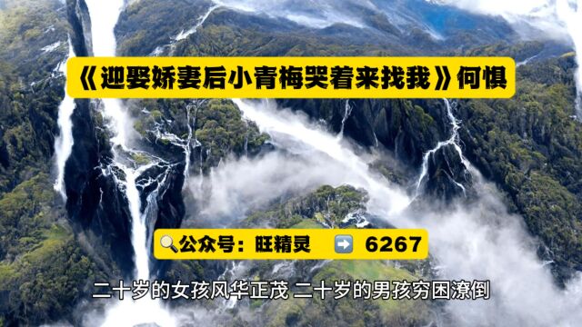 《迎娶娇妻后小青梅哭着来找我》何惧小说无删减在线阅读◇