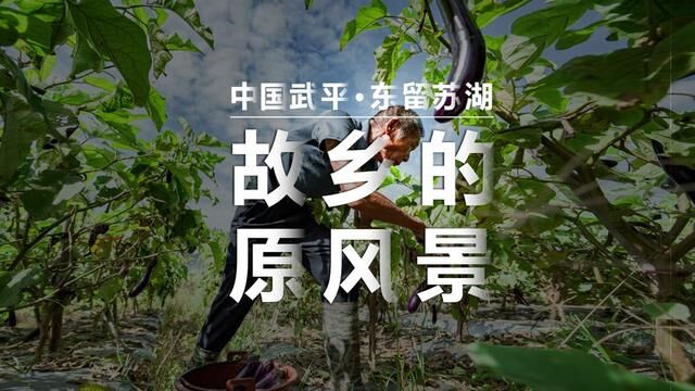 中国苏湖——故乡的原风景 #给一万个陌生人拍照 #乡村生活日记