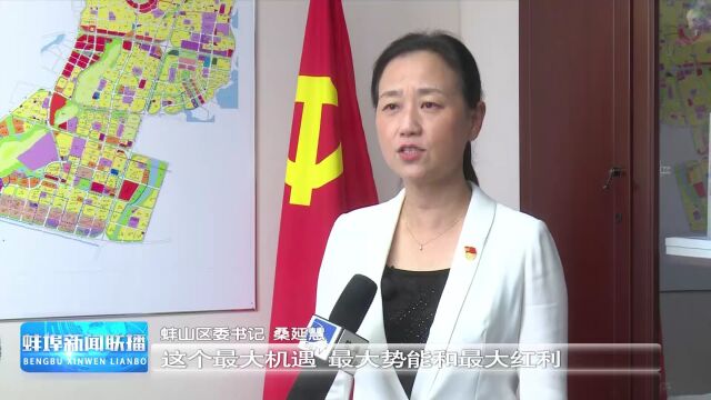 【一把手访谈】蚌山区委书记桑延慧:打好“五大攻坚战” 在建设“七个强市”中扛起主城区担当