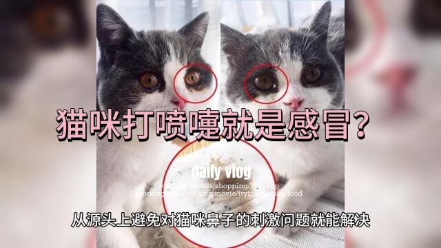 猫咪打喷嚏就是感冒?关于打喷嚏的病因与症状