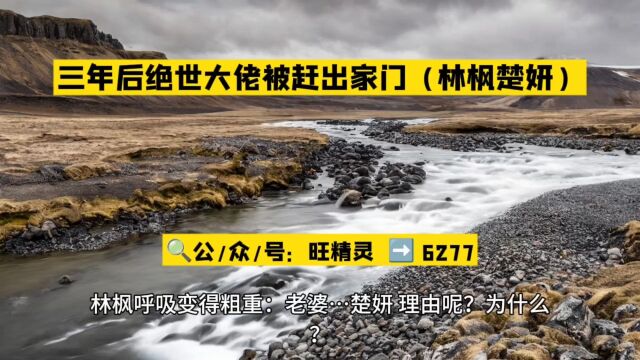 三年后绝世大佬被赶出家门(林枫楚妍)高燃小说推荐全文阅读○