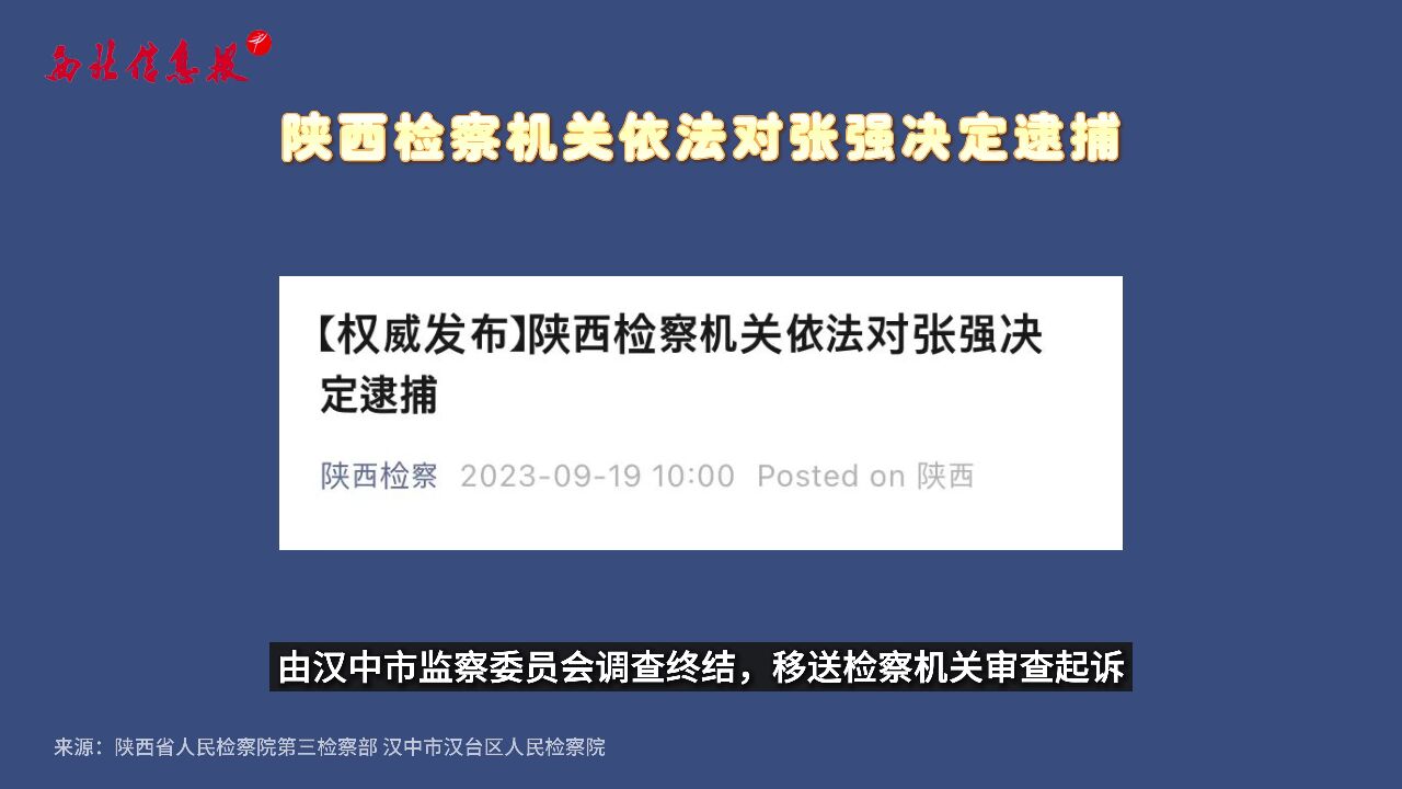 陕西检察机关依法对张强决定逮捕