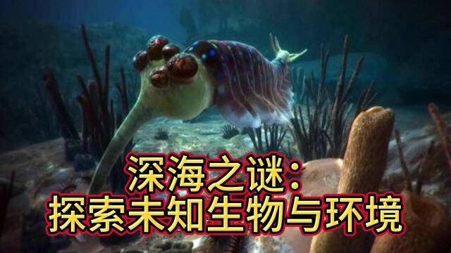 深海之谜:探索未知生物与环境