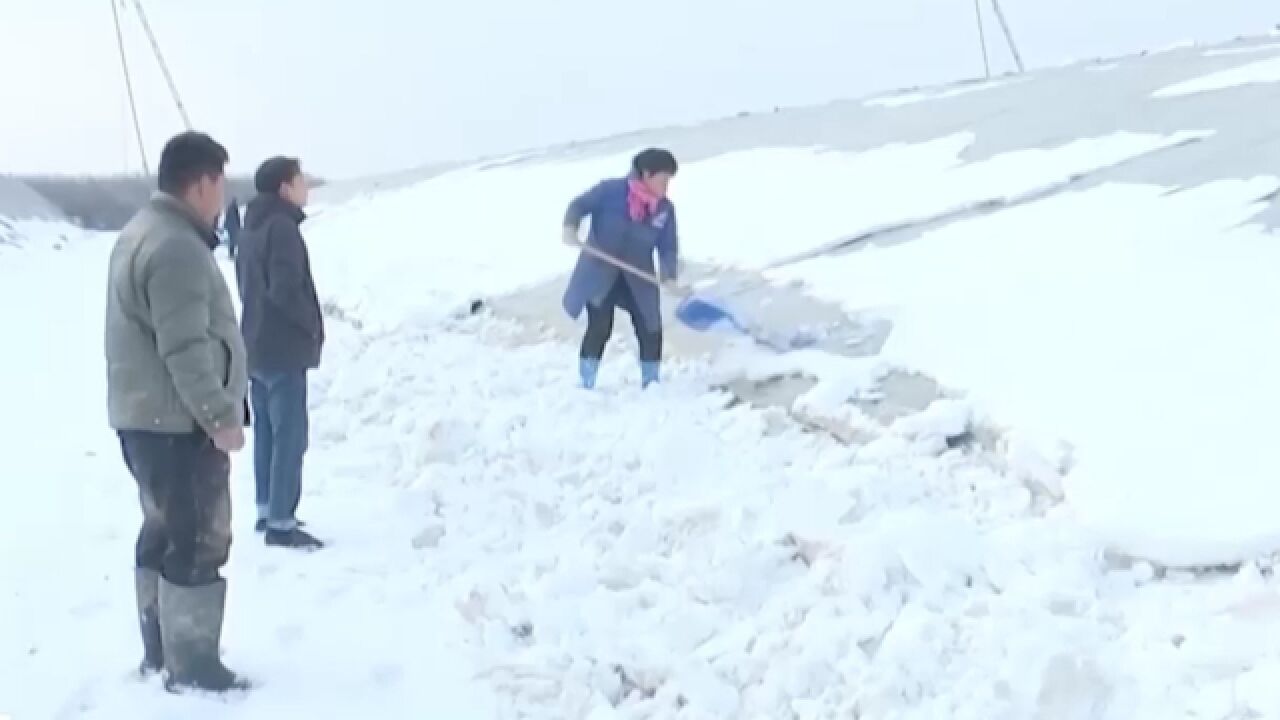 河北,农技人员分包到户做好低温田间管理