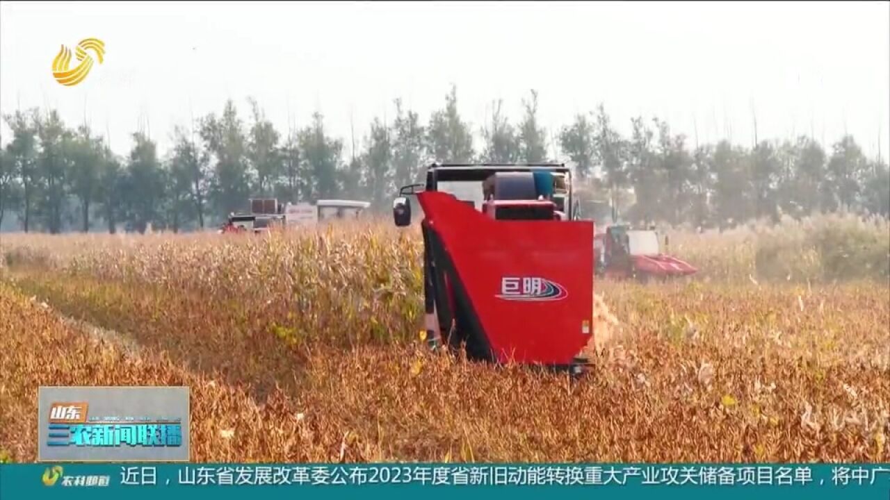 省供销社:耕种管收全流程托管,土地入股有保底,强村富民增收益