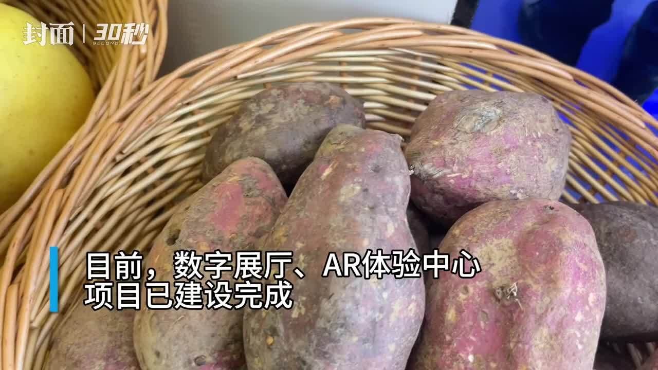 30秒|宜居宜业 数字化技术赋能助推和美乡村建设