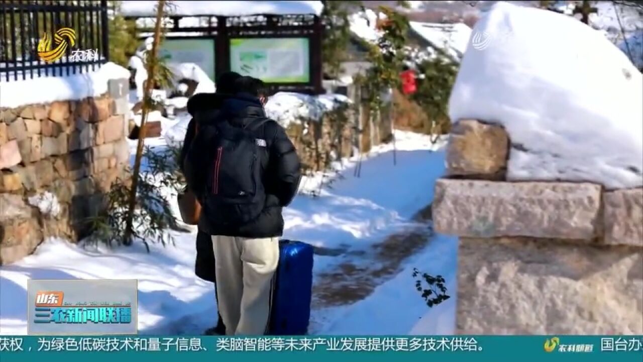 沿千里山海路!威海提升沿线配套水平,打造三农文旅融合新业态