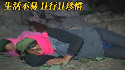 亚洲最危险工作之中国云南，捡菌子滑落山崖坠亡，生活纪录片