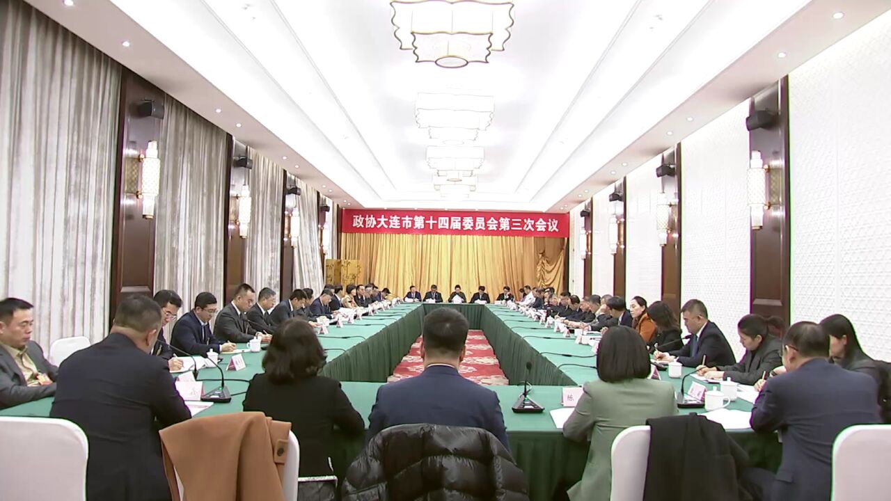 熊茂平参加市政协十四届三次会议联组讨论