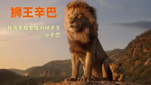 电影推荐《狮王辛巴》小辛巴长大了！#影视解说 #电影解说 #影视剪辑 #狮王辛巴 #动物