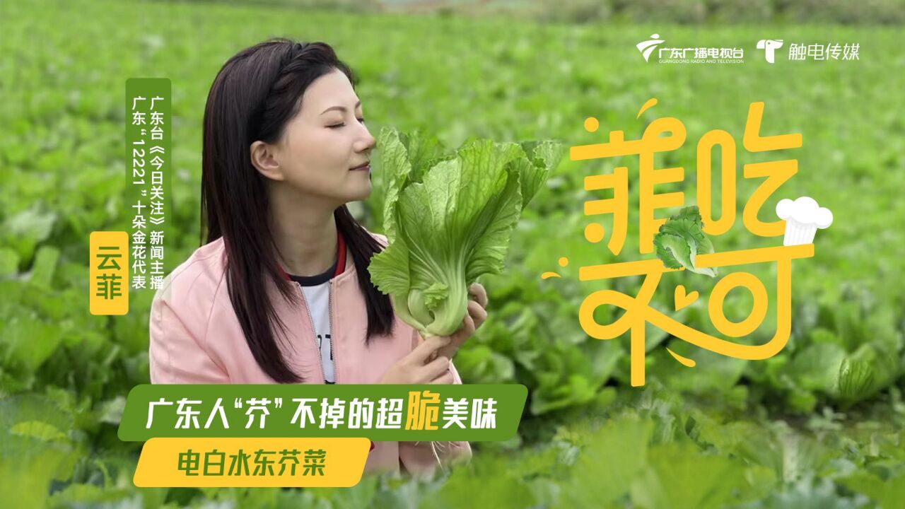 离海边六公里的脆甜!来茂名电白一尝广东人“芥”不掉的美味