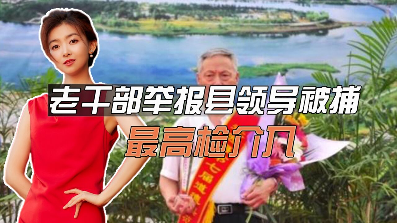 老干部举报县领导被捕,最高检介入,这是民意的重大胜利