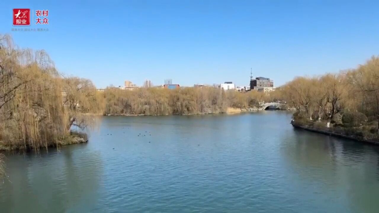 济南春色|她在桥上拍风景,拍风景的人也在拍她