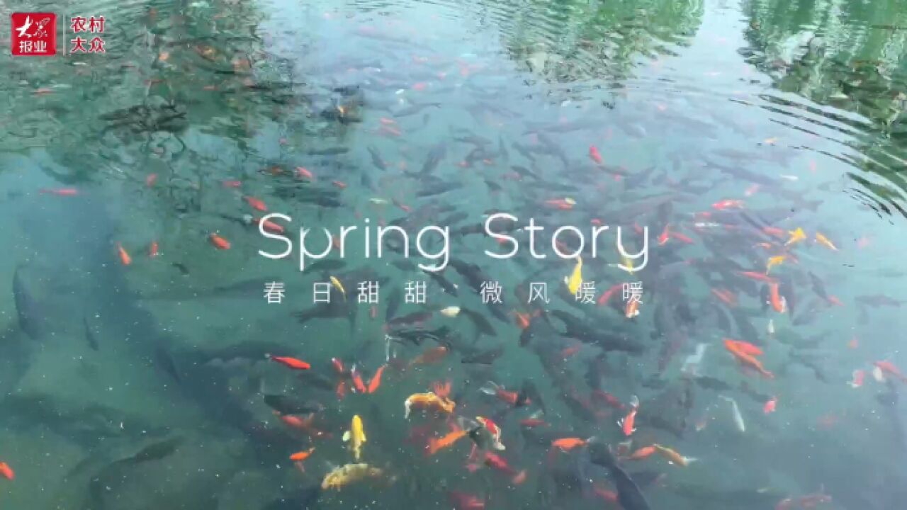 济南春色|漫赏芳华,奔赴春日之约